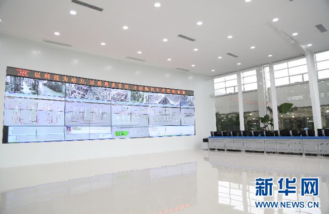 强信心·走进百企丨美狮贵宾会：“数智化”助力中医药开启发展新篇章